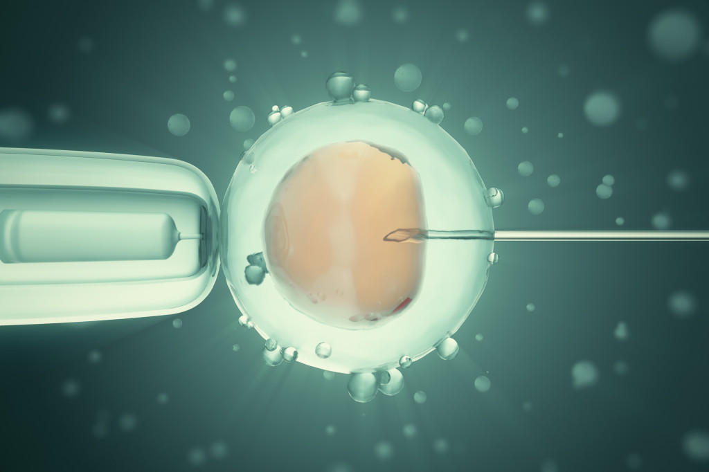 卵子提供　顕微授精