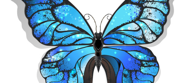 バタフライさんの体験談