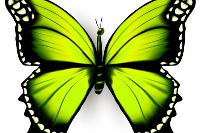 バタフライさん体験談3